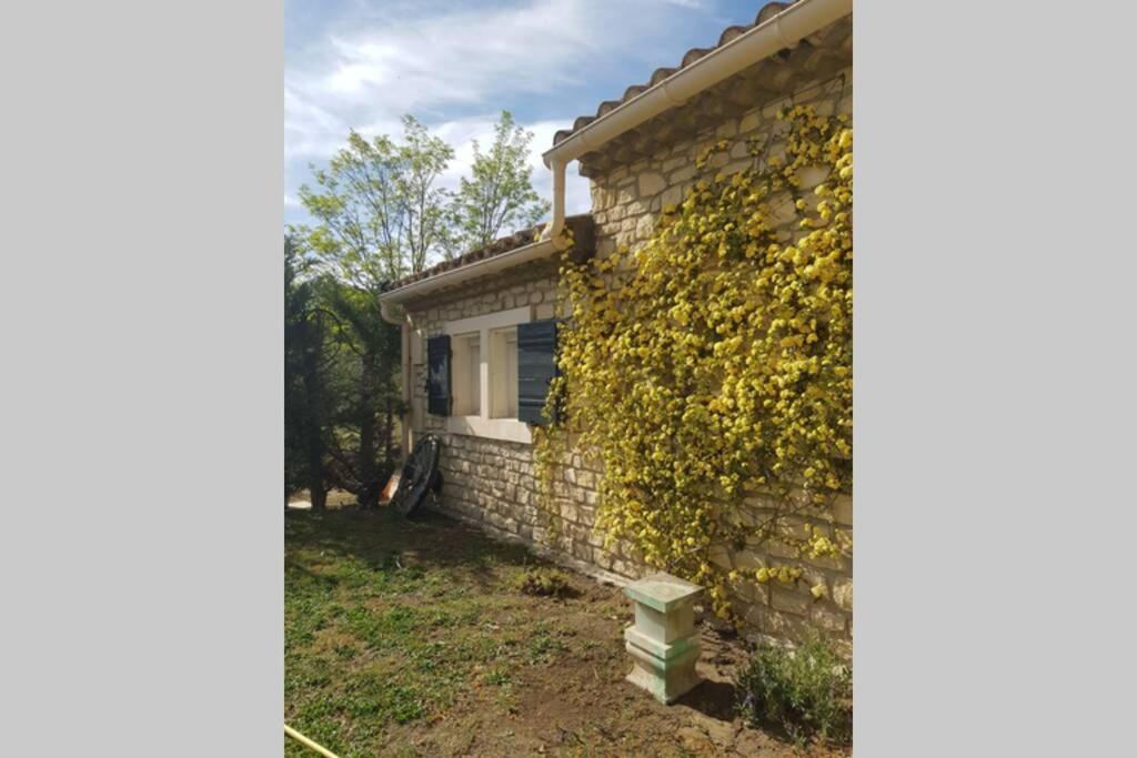 Appartement 2 Pers Avec Acces Piscine Saint-Rémy-de-Provence Exteriér fotografie